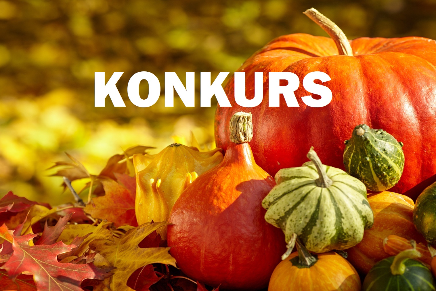 ZS dynia jesien konkurs